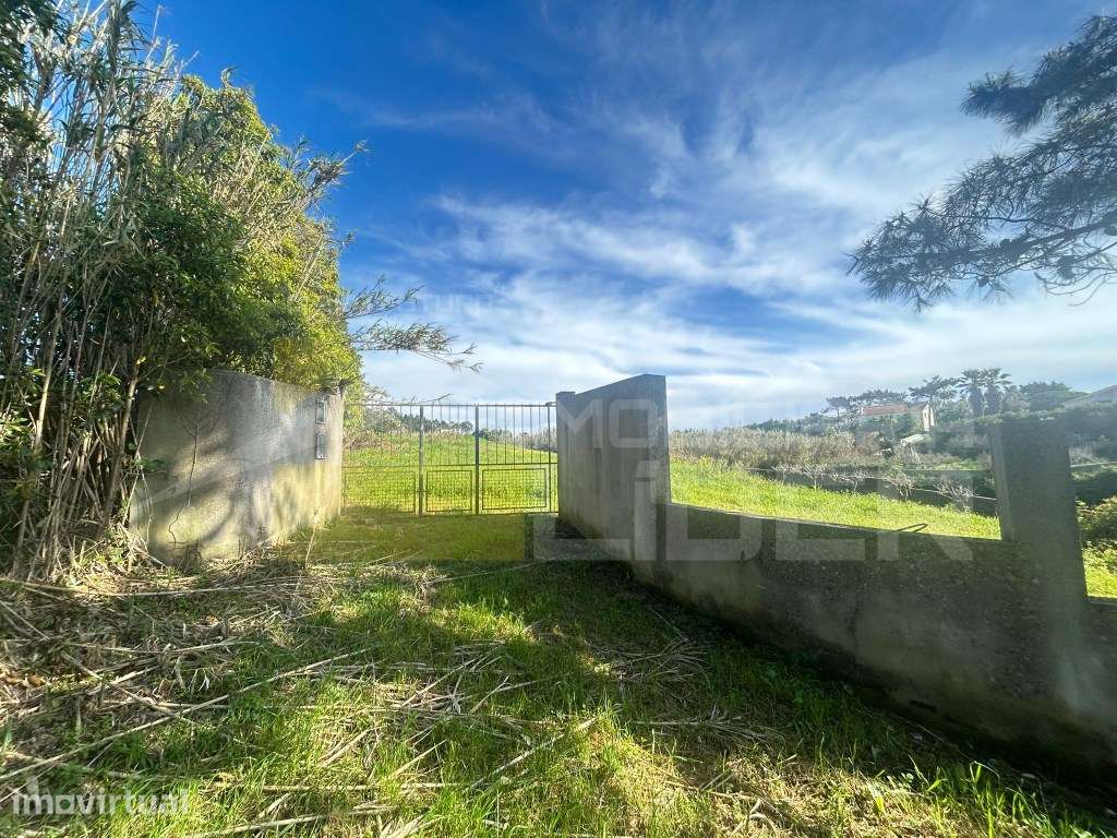 Terreno Rustico com 2.500 m2 em Sobreiro, Mafra - Grande imagem: 2/15