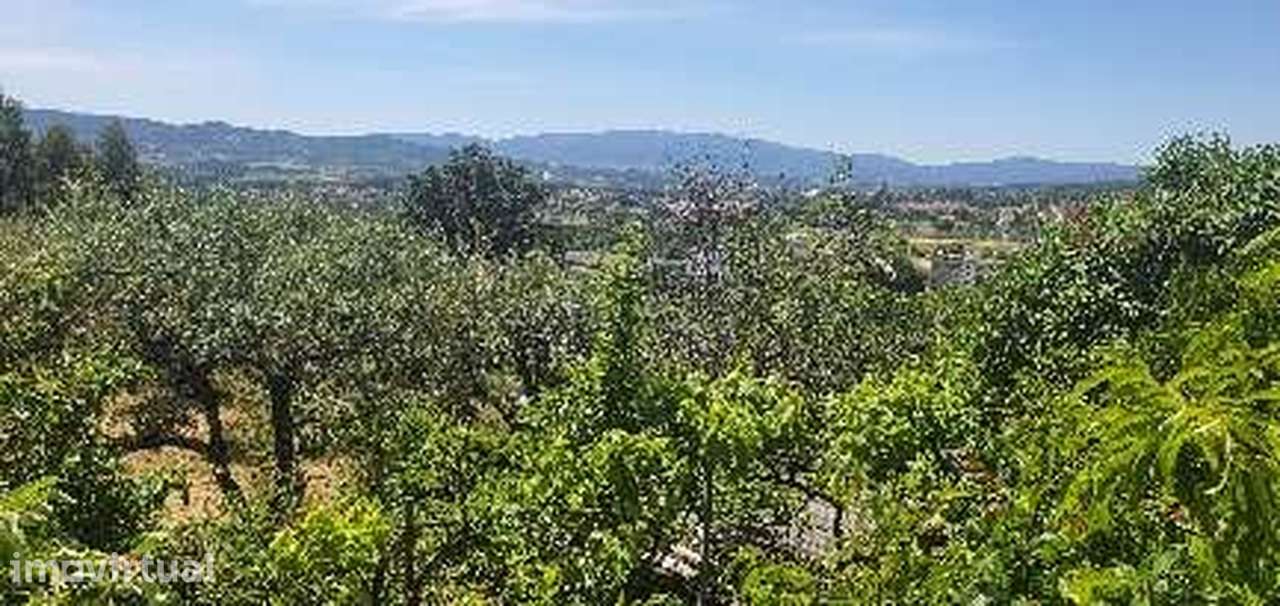 Quinta da Olivosa — propriedade com elevado potencial urbanístico - Grande imagem: 2/17