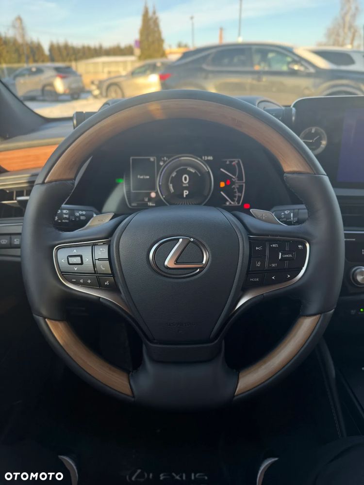 Lexus ES 300h Omotenashi - 11