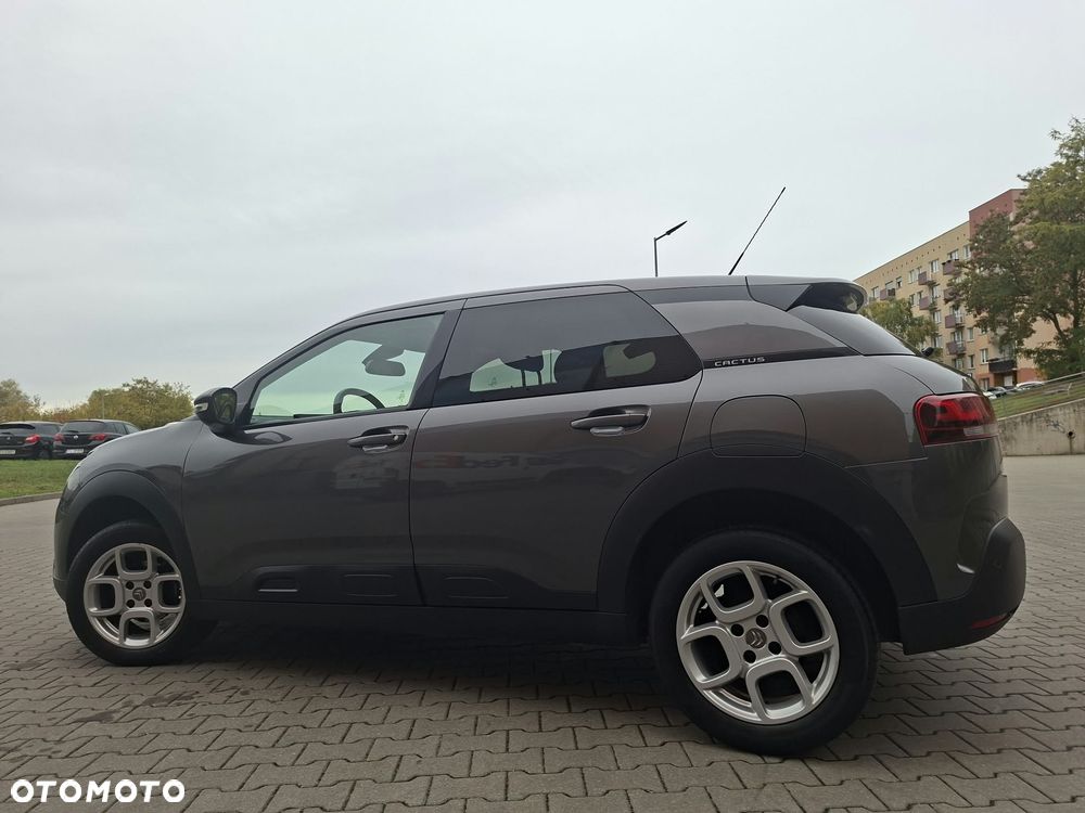 Citroën C4 Cactus 1.6 BlueHDi Shine - 22