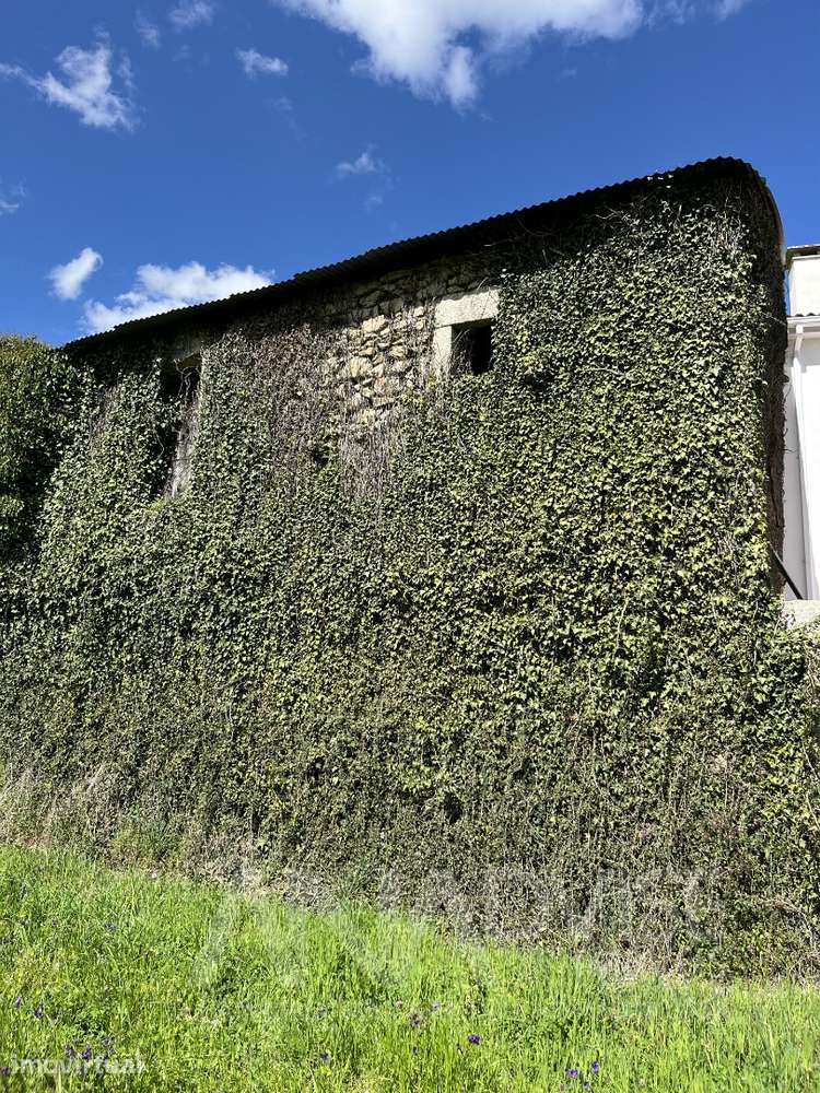 Moradia para Restaurar T3 Venda em Sátão,Sátão - Full image: 2/30