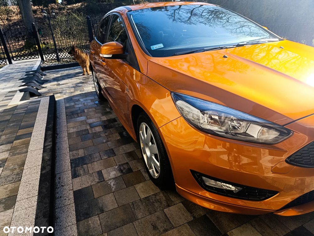 Ford Focus 1.5 EcoBoost ST-Line - 2