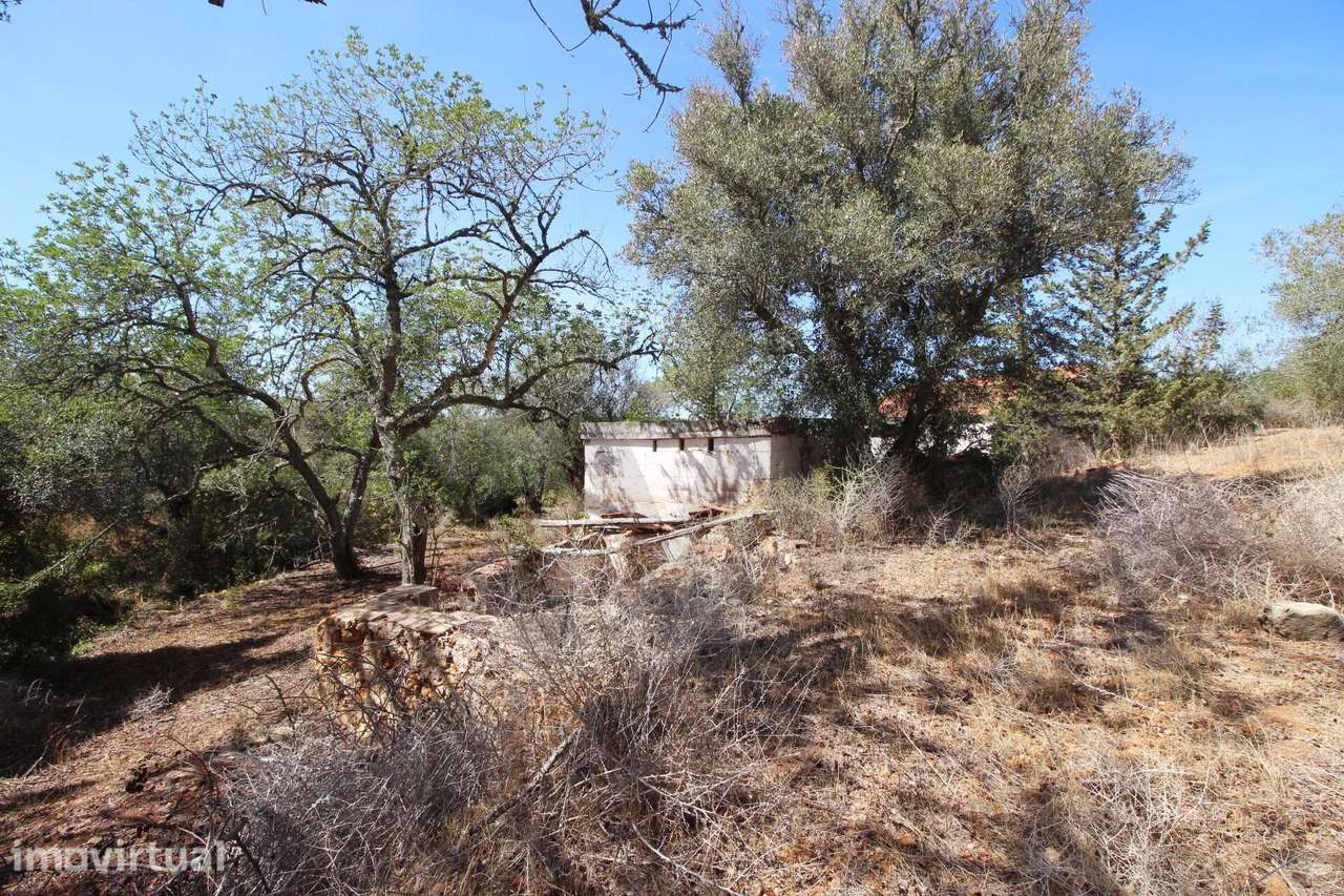 TERRENO COM RUÍNA, VALE DE MARGEM, PÊRA, SILVES - Grande imagem: 5/30