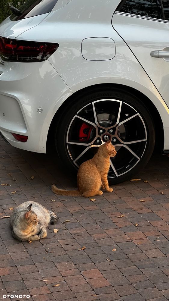 Renault Megane 1.8 TCe FAP R.S Trophy EDC - 37