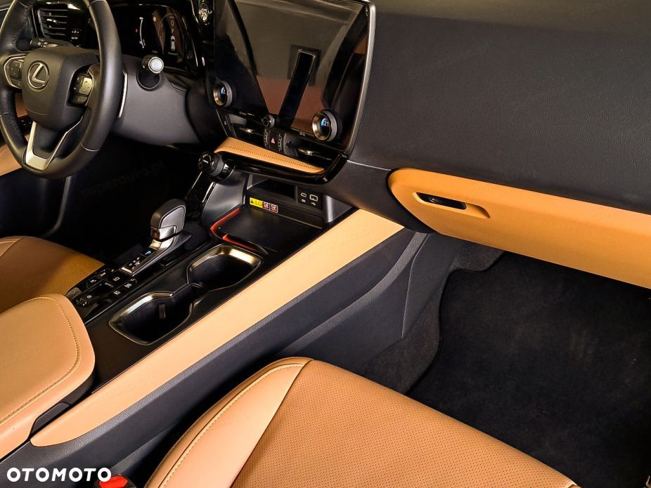 Lexus NX - 10