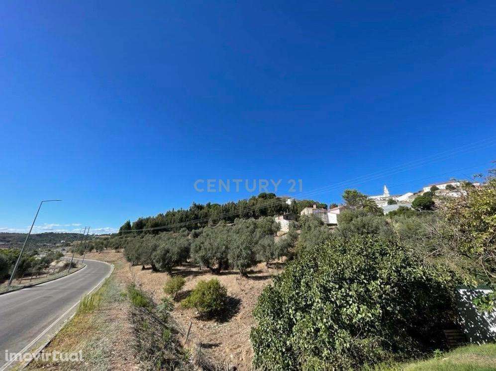 Terreno Misto | Portalegre - Grande imagem: 3/20