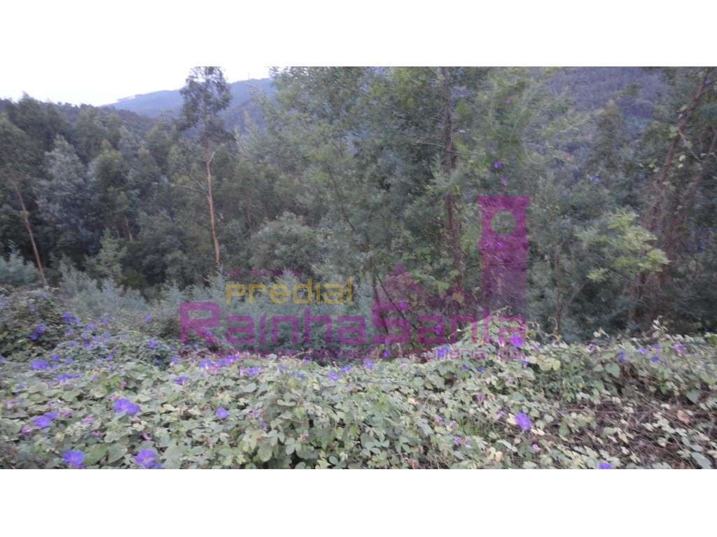 Terreno urbano - Casal da Misarela - Grande imagem: 4/11