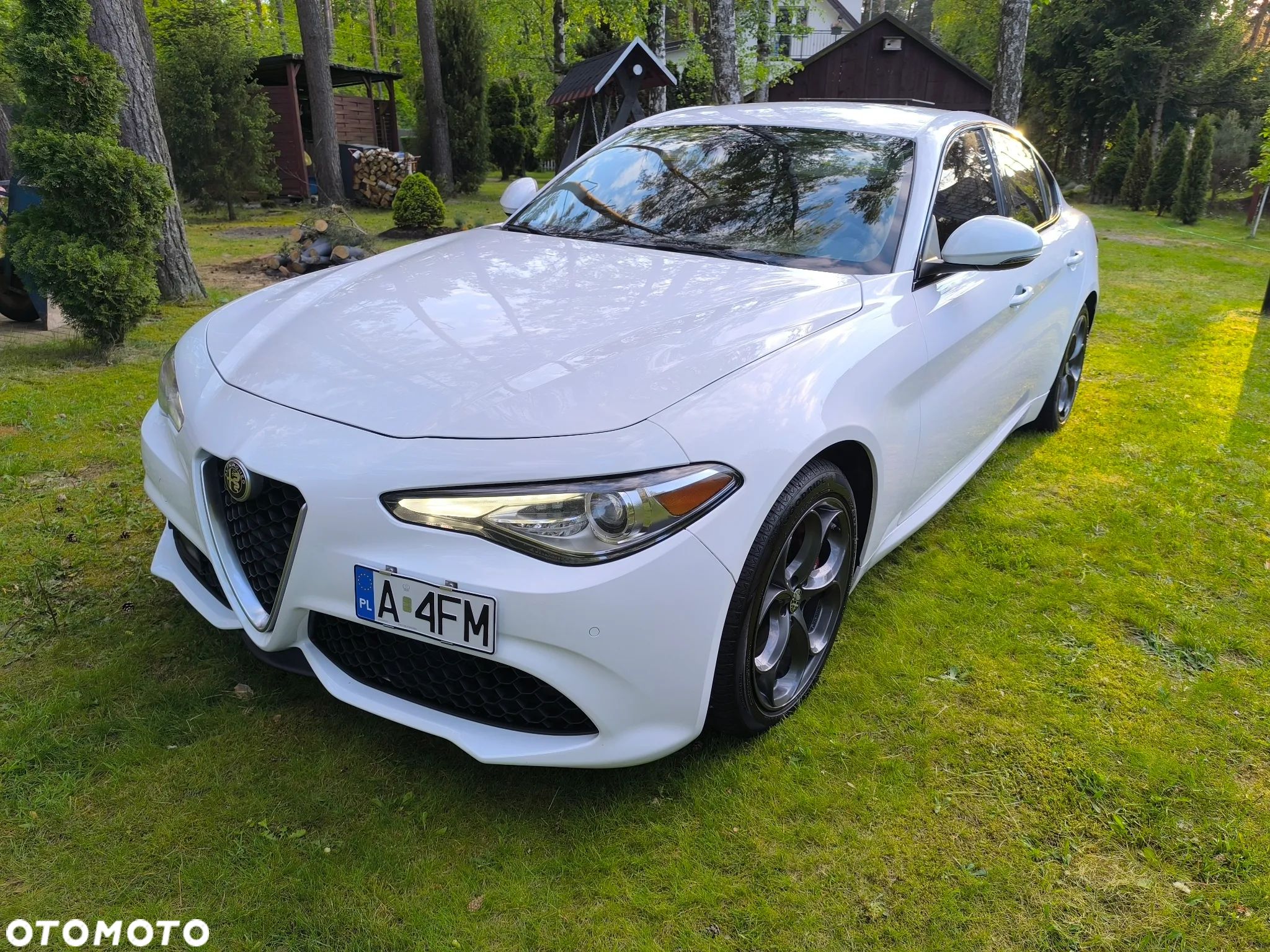 Alfa Romeo Giulia 2.0 Turbo TI Q4 - 1