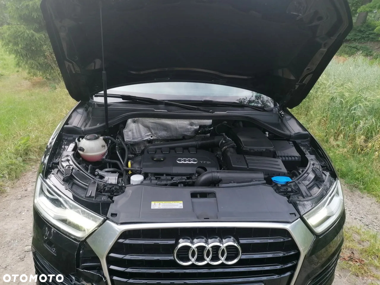 Audi Q3 - 19