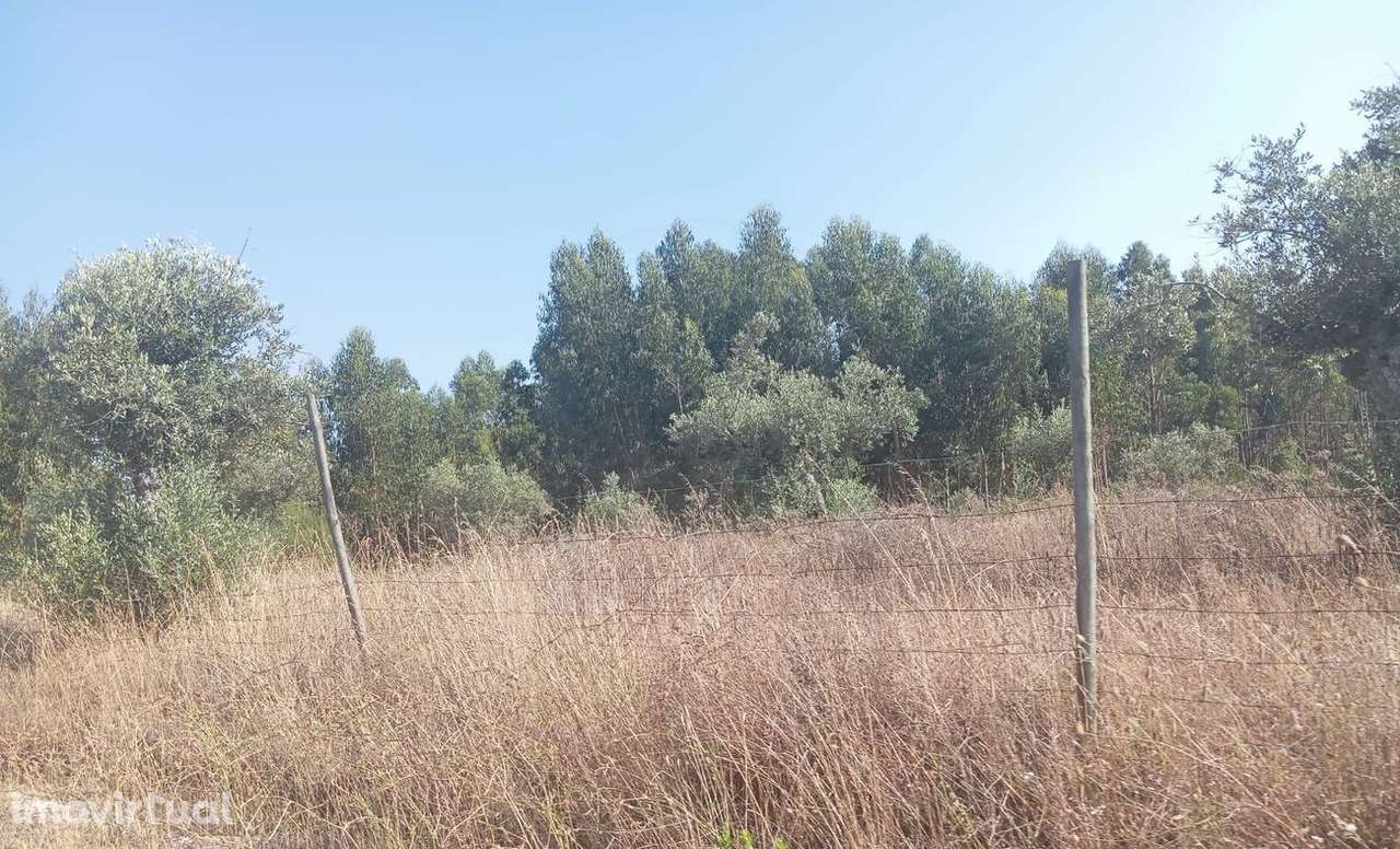 Terreno  para venda - Grande imagem: 5/6