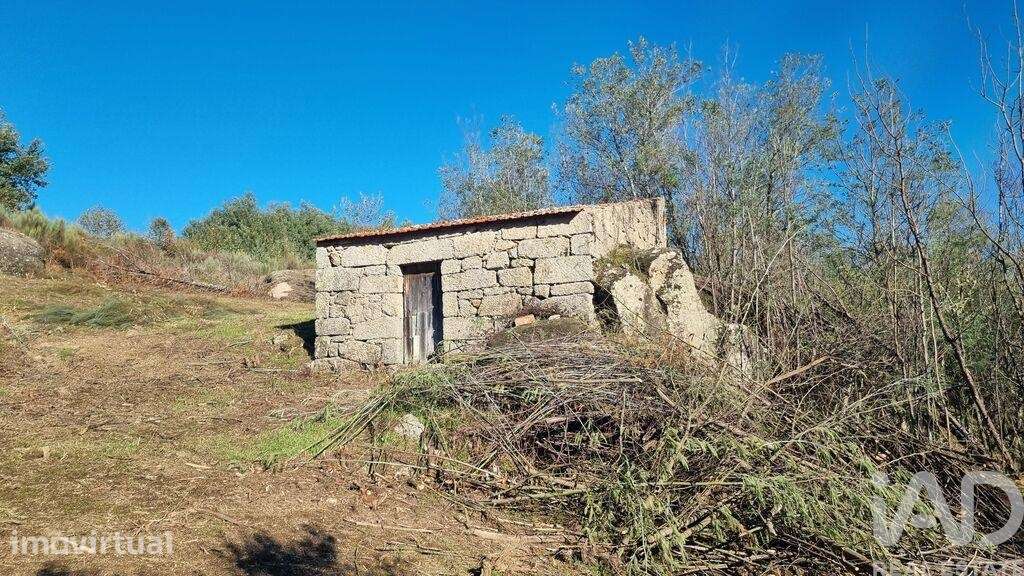 Terreno Agrícola em Juncais, Vila Ruiva e Vila Soeiro do Chão - Grande imagem: 3/27