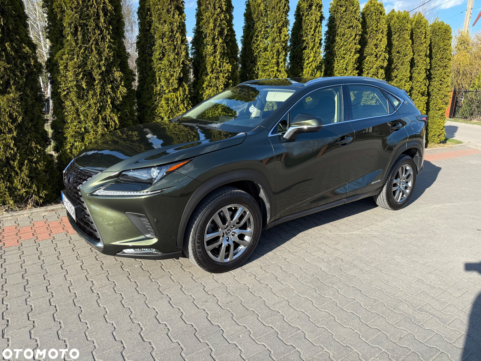 Lexus NX - 21