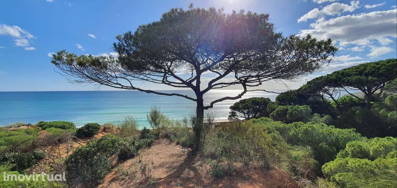 Moradia em primeira linha de mar com acesso direto á praia - Grande imagem: 2/16