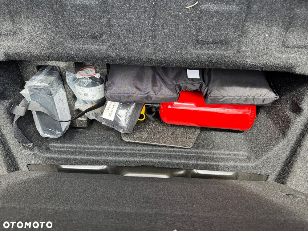 BMW Seria 3 318d Luxury Line EU6 - 30