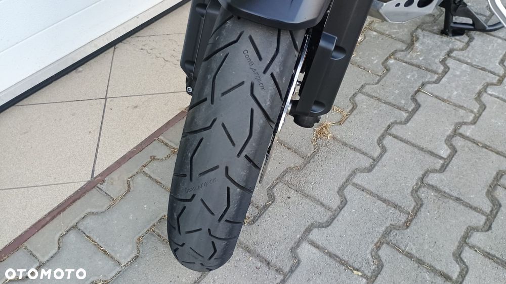 Triumph Tiger - 15