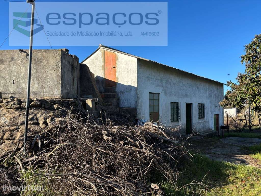 Quintinha a cinco minutos do centro de Castelo Branco - Grande imagem: 5/12