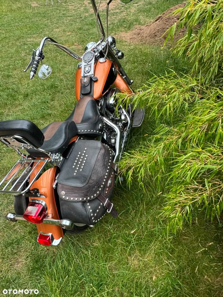 Harley-Davidson Softail - 12