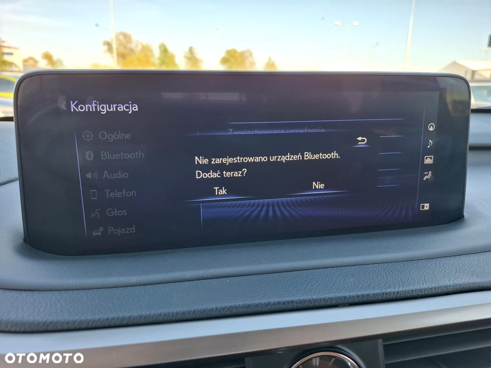 Lexus RX 300 Business Edition + - 28