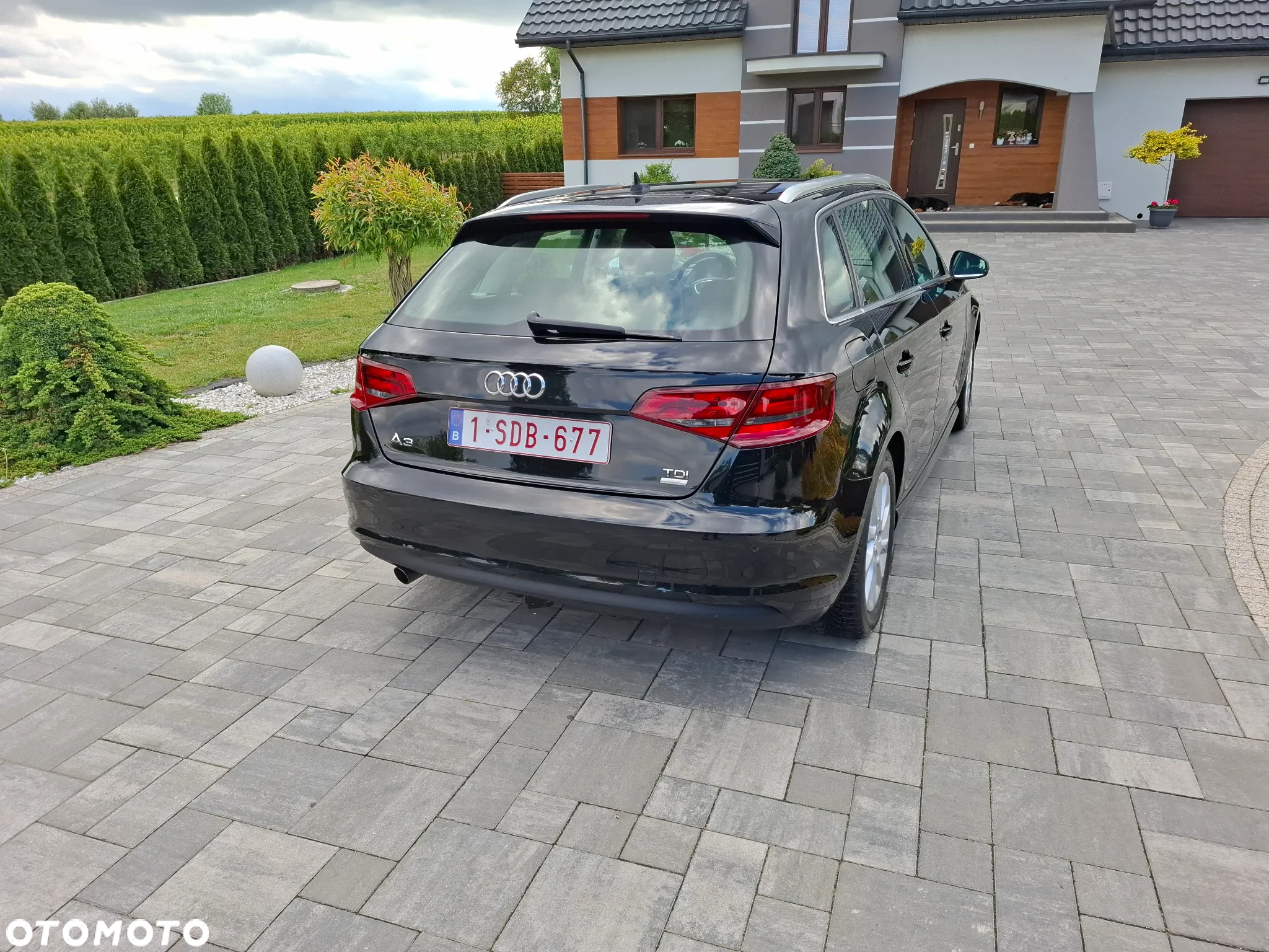 Audi A3 1.6 TDI Sportback design - 12