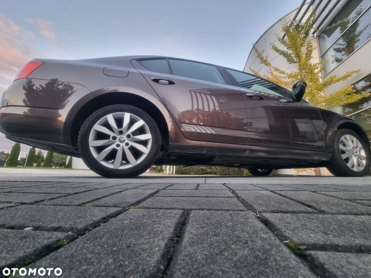 Skoda Octavia 1.6 TDI Elegance - 4