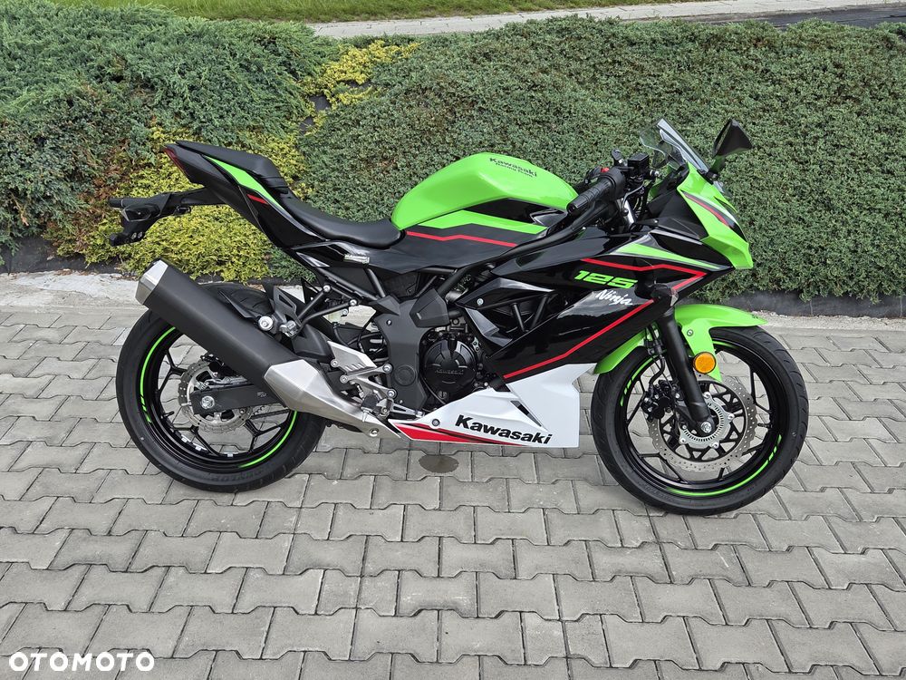Kawasaki Ninja - 11