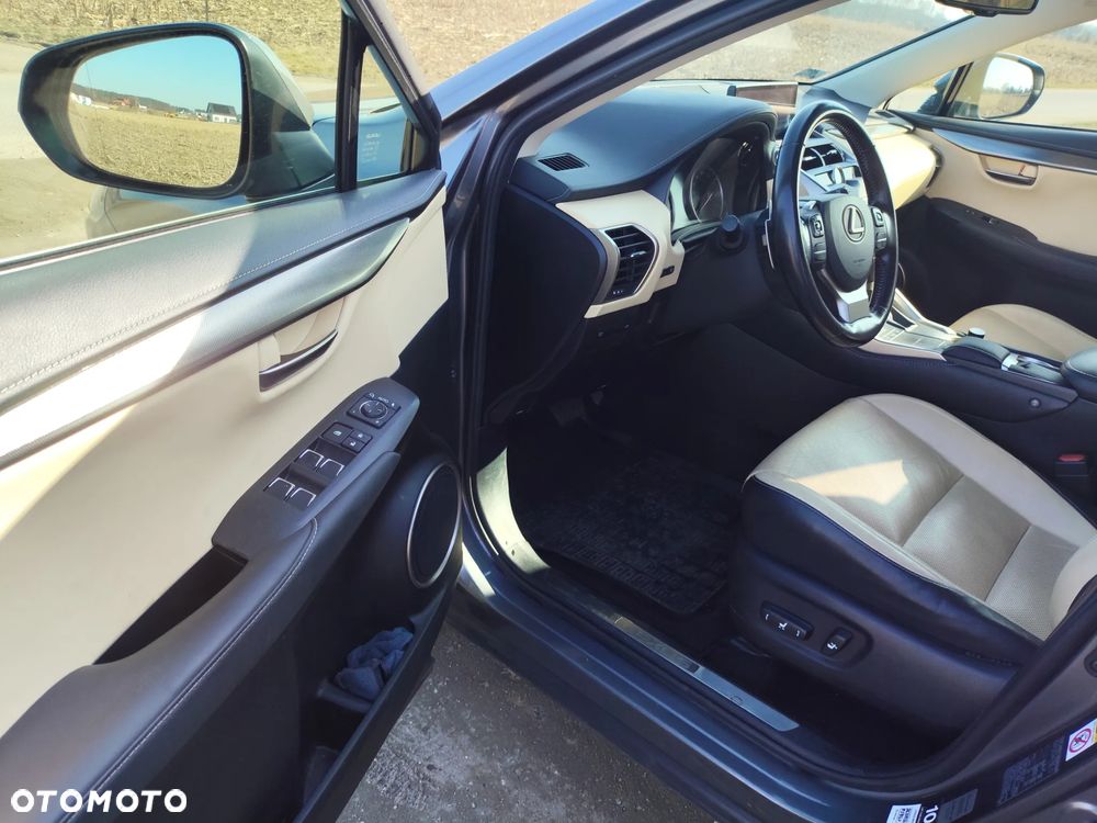 Lexus NX 300h Comfort AWD - 14