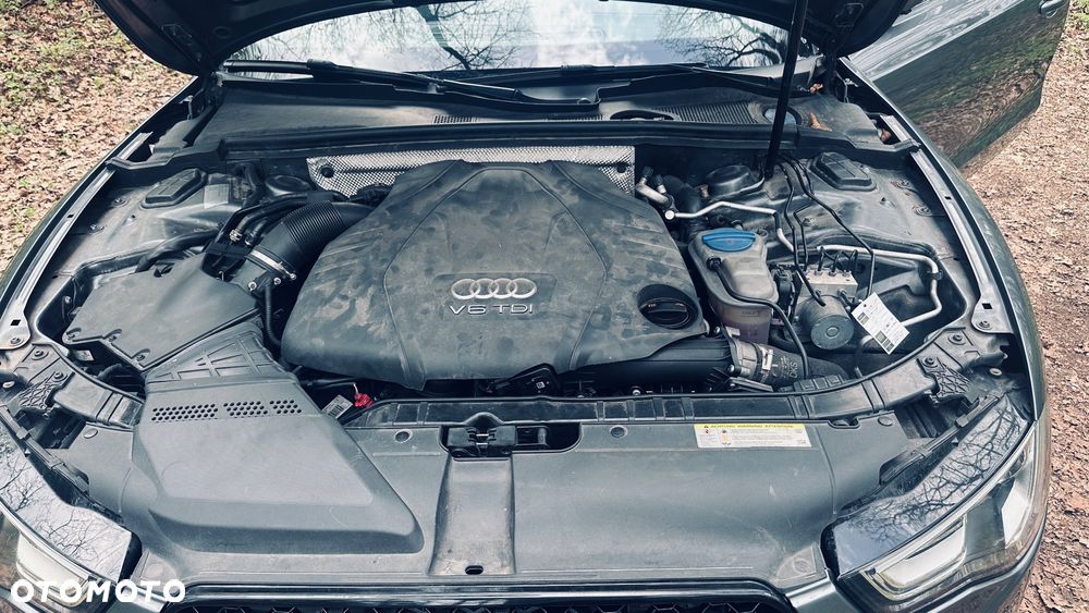 Audi A5 Cabrio 3.0 TDI DPF quattro S tronic - 39