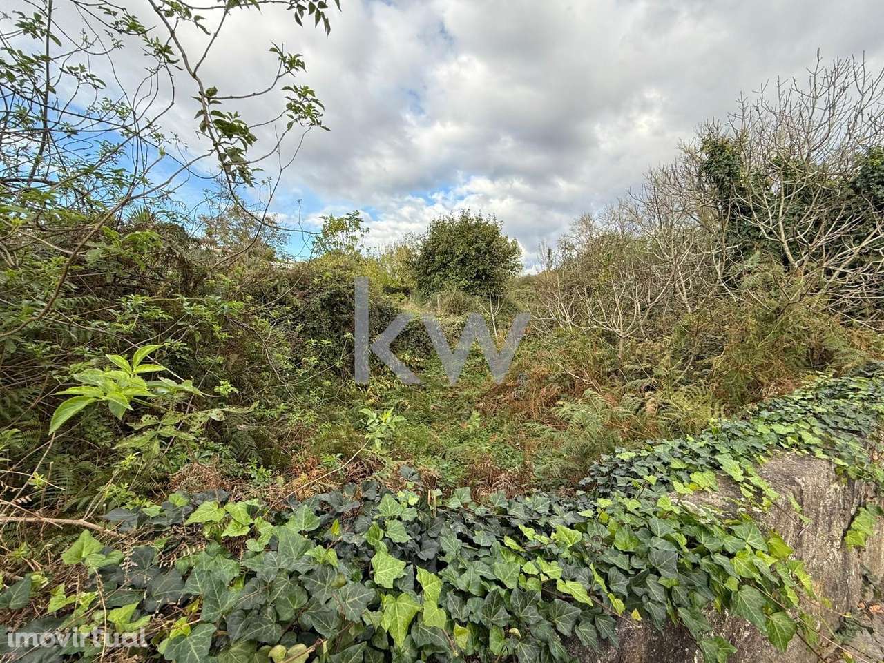 Terreno para venda em AZEVEDO de CAMPANHÃ - Grande imagem: 2/16