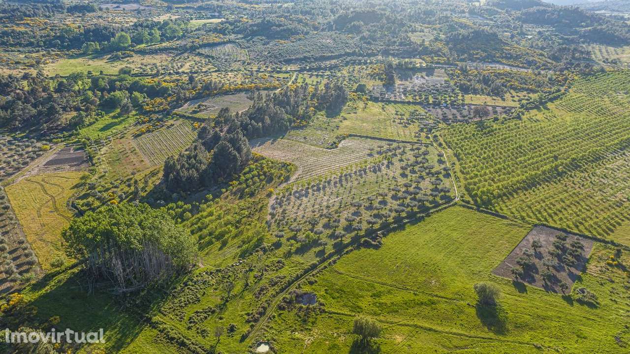 Terreno  para venda - Grande imagem: 2/14