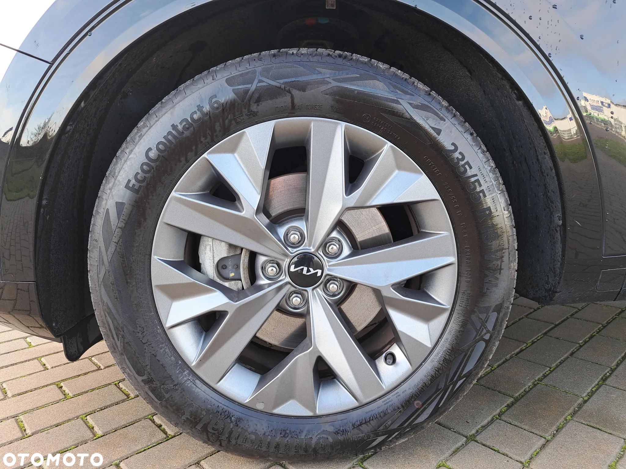 Kia Sportage 1.6 T-GDI HEV GT Line 2WD - 17