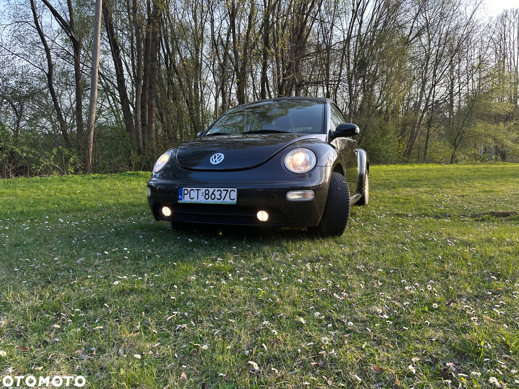 Volkswagen New Beetle 2.0 - 2