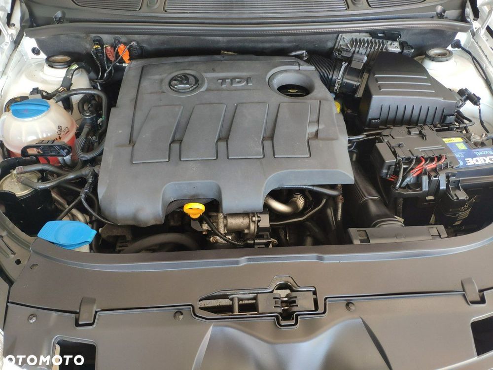 Skoda Fabia - 28