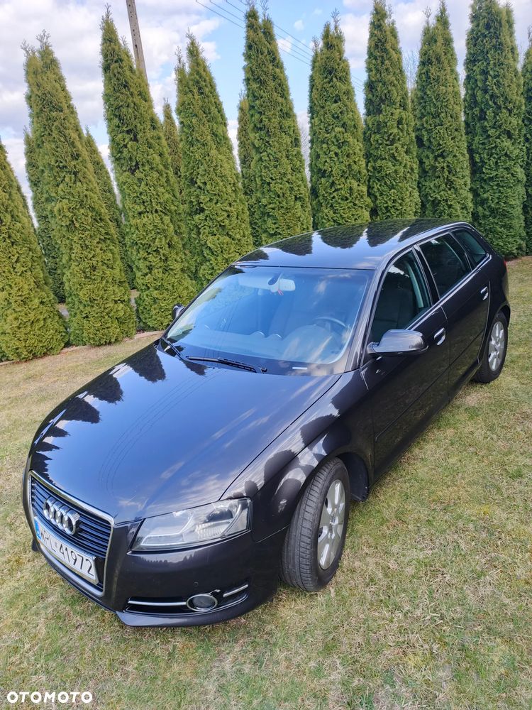 Audi A3 Sportback 1.6 TDI Attraction - 11
