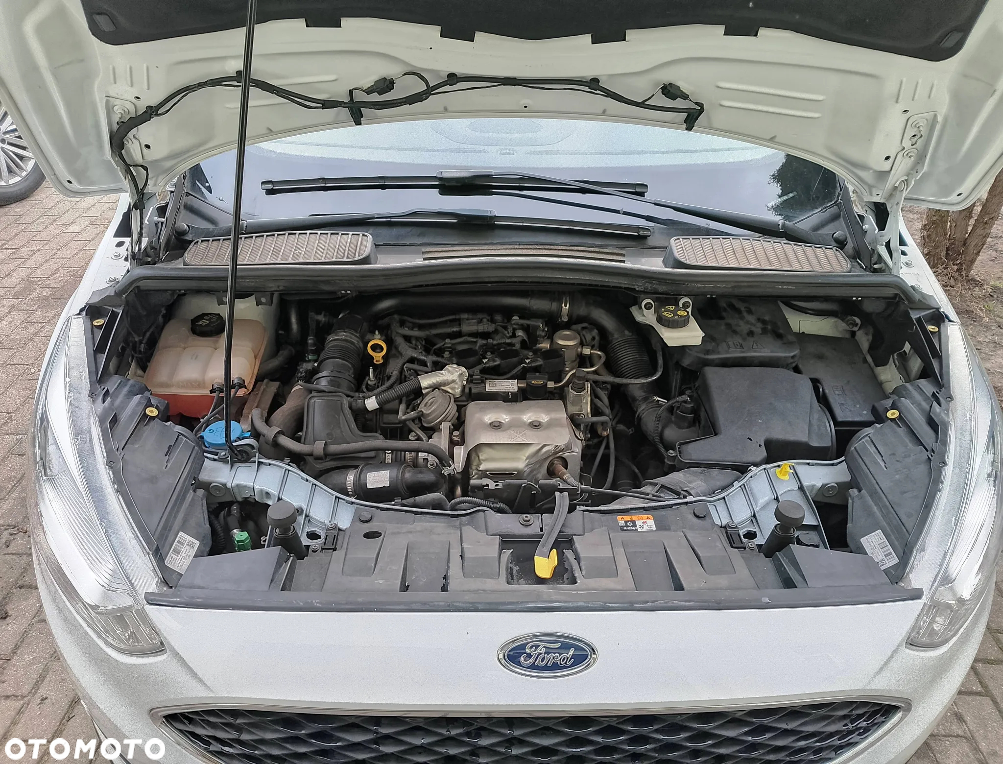 Ford C-MAX 1.0 EcoBoost Trend ASS - 20