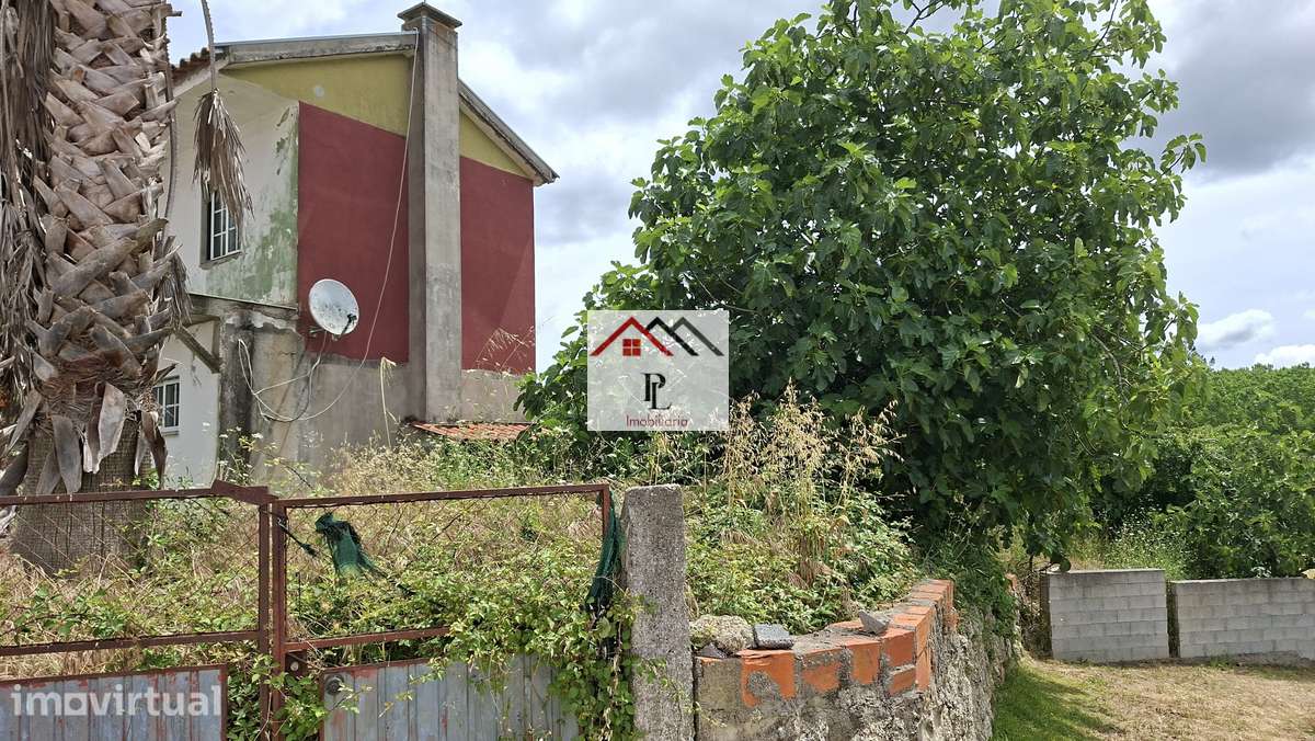 Moradia Isolada c/ terreno | Lameiras - Tábua | Coimbra - Grande imagem: 3/30