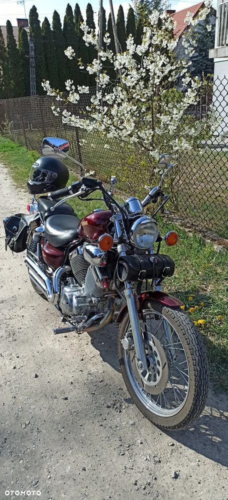 Yamaha Virago - 5