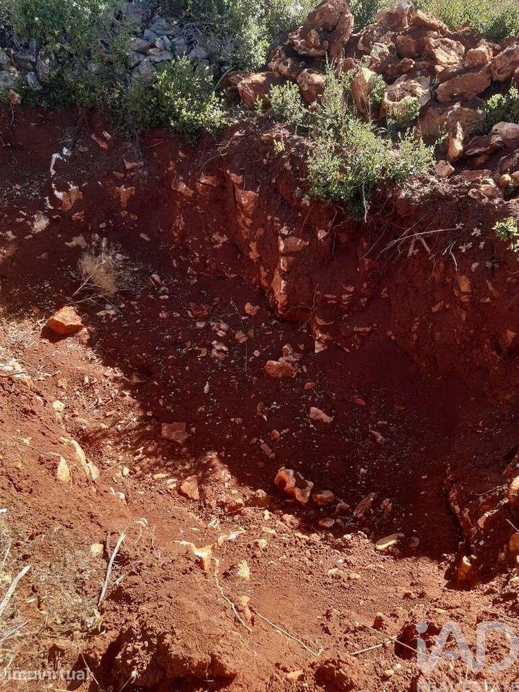 Terreno Agrícola em Alte - Grande imagem: 3/8