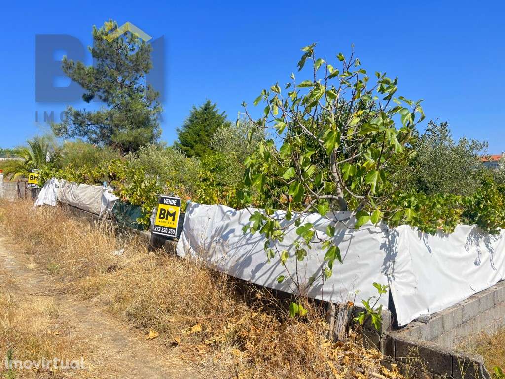 Terreno urbano com 1140m2 de área, localizado no Bairro do Valongo,... - Grande imagem: 4/19