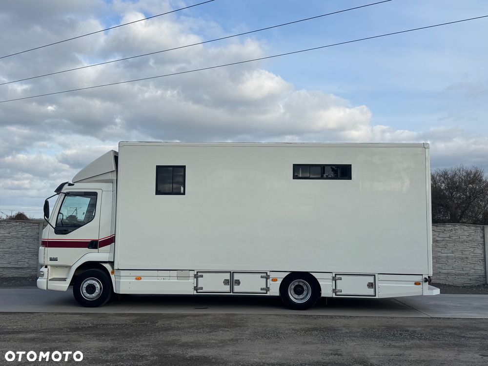 DAF LF 45.170 Koniowóz - 29