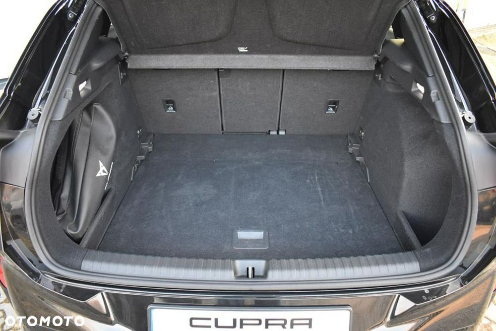 Cupra Terramar 2024