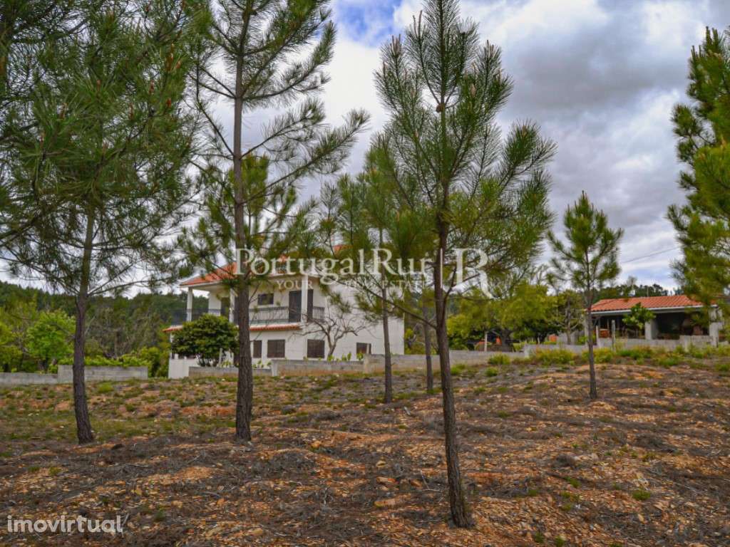 Lote Urbano de 1.340 m2 para Construção de Moradia - Grande imagem: 2/19