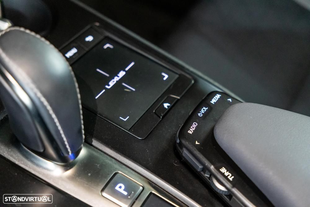 Lexus UX 300e Luxury - 36