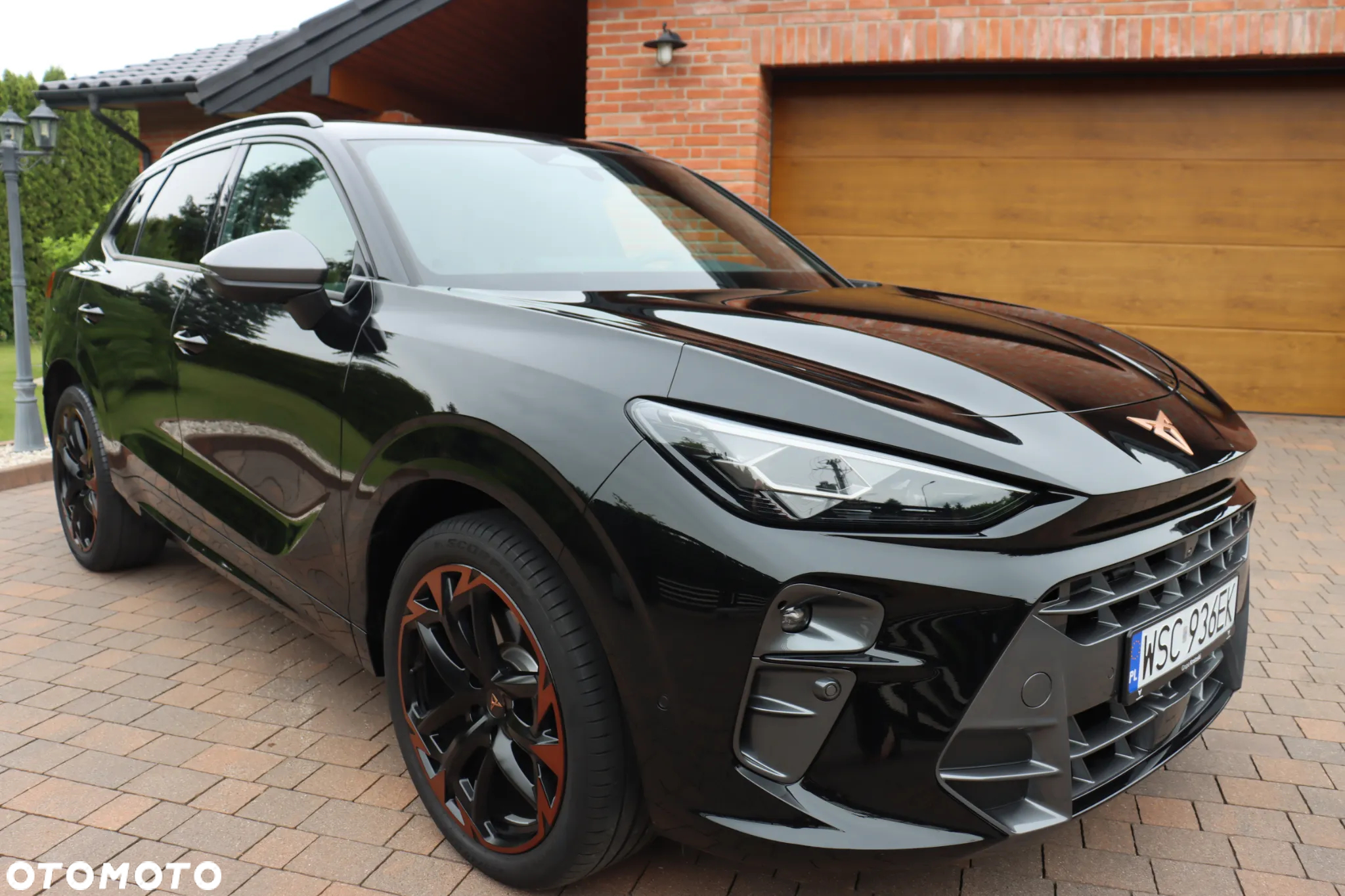 Cupra Terramar - 2