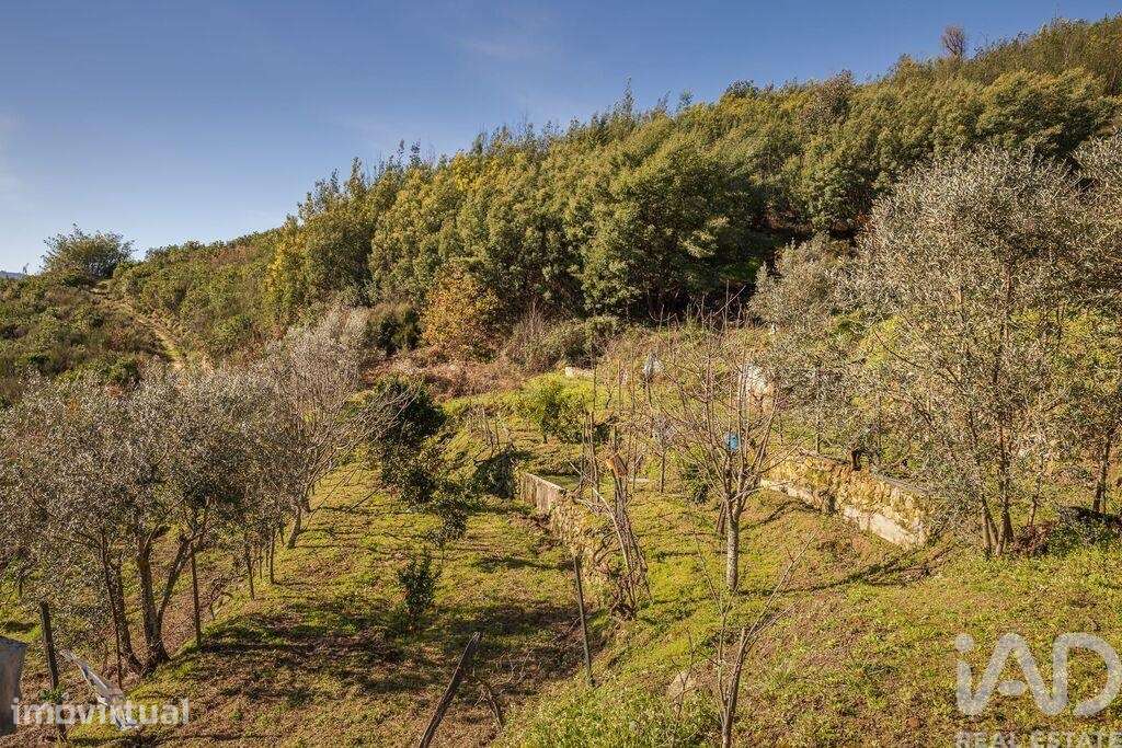 Terreno Agrícola em Sandomil - Grande imagem: 5/8
