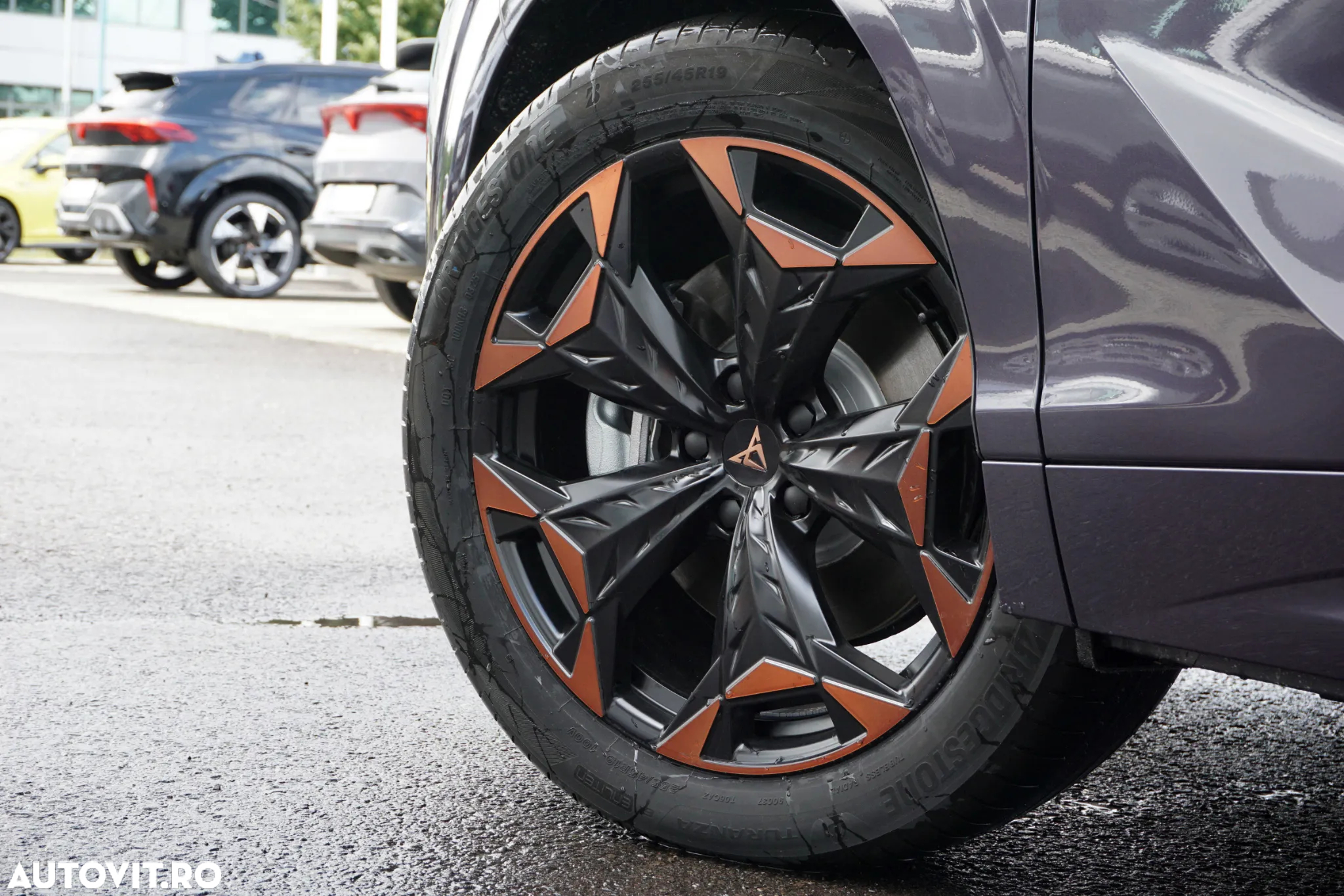 Cupra Terramar - 9