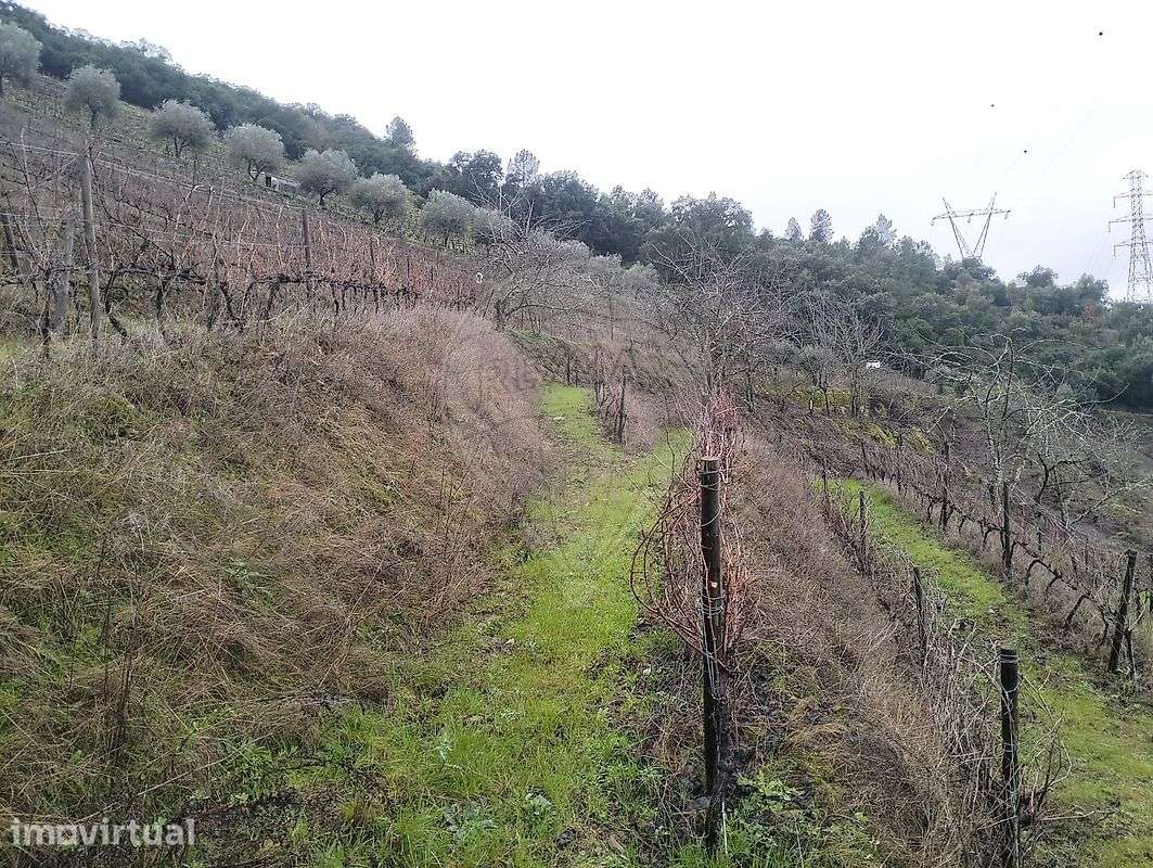 Terreno  para venda - Grande imagem: 3/5