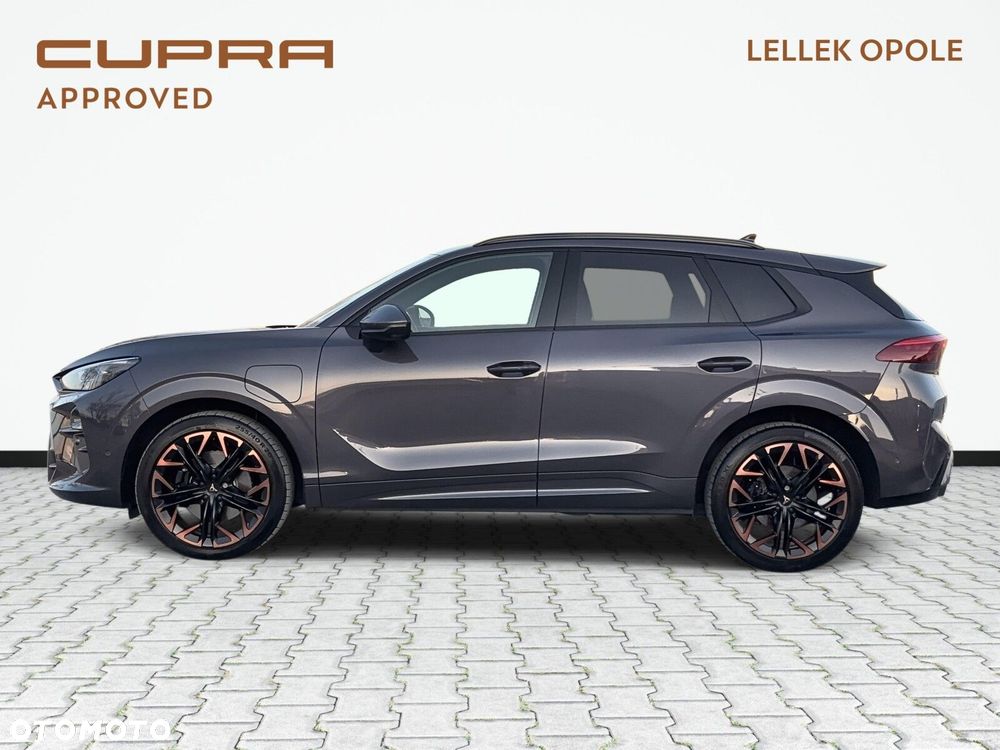 Cupra Terramar - 9
