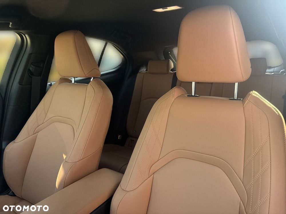 Lexus UX 300h F Sport Design AWD - 15