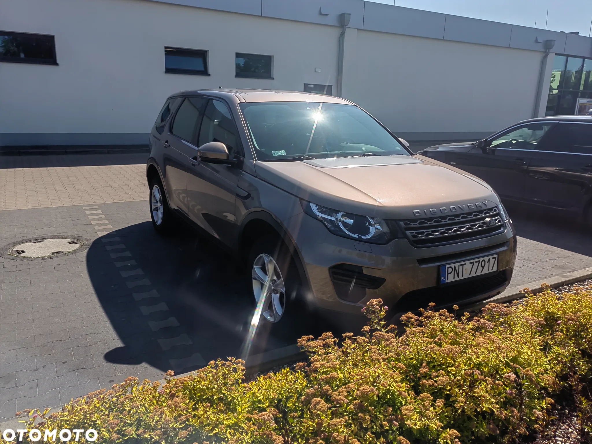 Land Rover Discovery Sport 2.0 TD4 Pure - 6