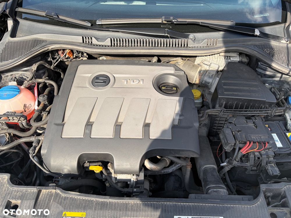 Seat Ibiza - 37